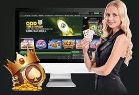 w567